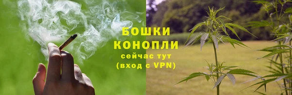 трава Семилуки