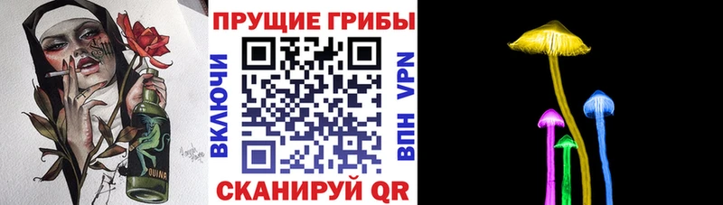 Псилоцибиновые грибы Magic Shrooms  Купить  Касли 